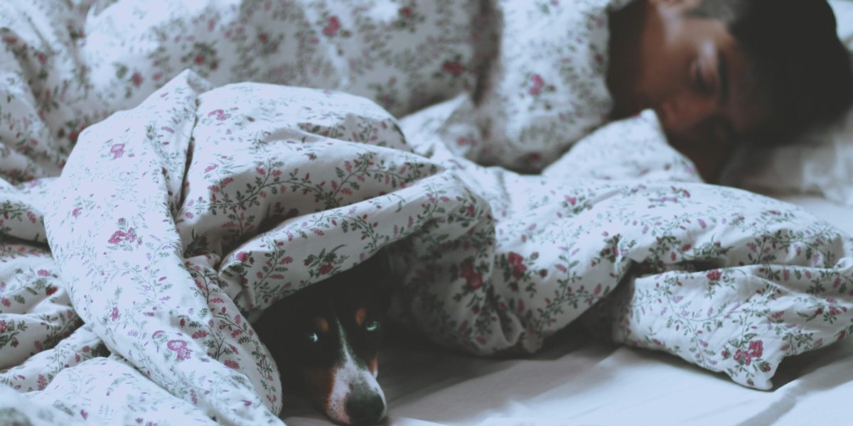 Врачи и эксперты по гигиене назвали оптимальную частоту смены постельного белья Врачи и эксперты по гигиене назвали оптимальную частоту смены постельного белья